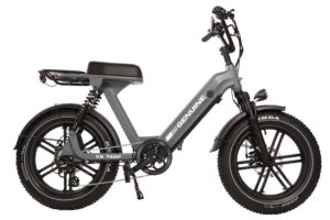 genuine-electric-bicycles-xs750f-gray-2