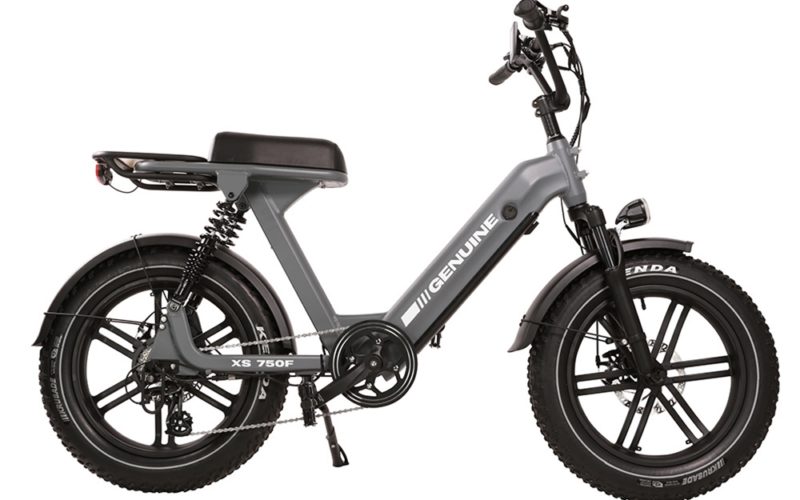 genuine-electric-bicycles-xs750f-gray-2